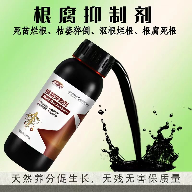 根腐抑制剂瓜果蔬菜果树根腐烂根沤根软腐必备死棵僵苗黄叶生新根商品图