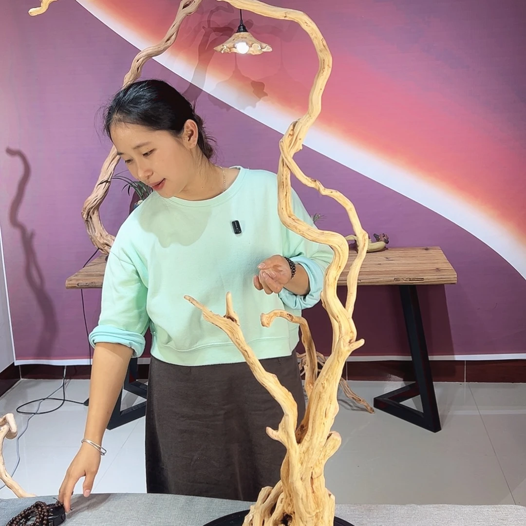 静***阁木天然杜鹃根根艺摆件