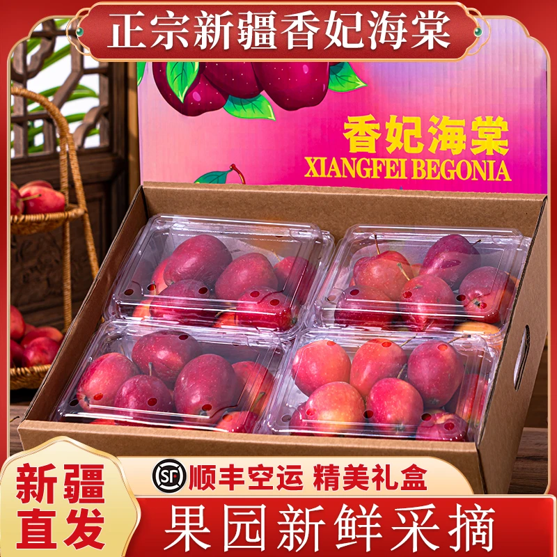 新疆直发香妃海棠鸡心果顺丰空运包邮国庆中秋送礼苹果甜水果维C