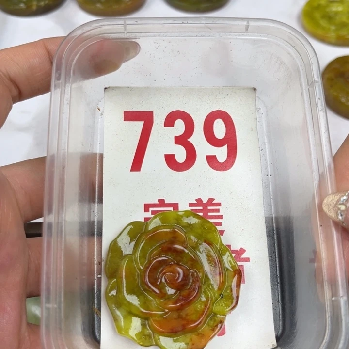 蛇纹石玉足银镀金镶嵌颈饰