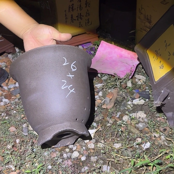 紫砂盆景盆景盆景盆景盆景盆景