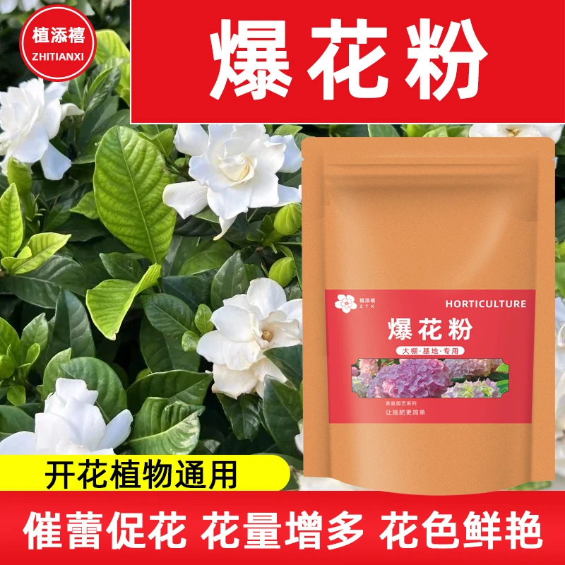 大袋装【爆花粉】栀子花肥料专用肥家用黄栀子催花促开花高磷肥