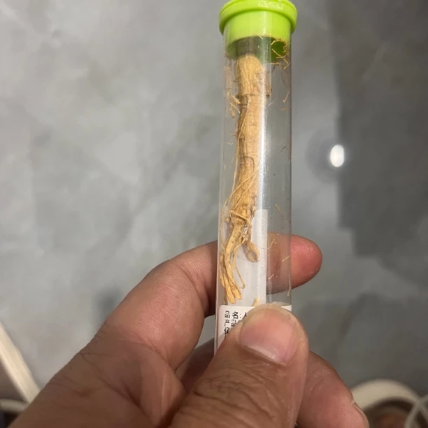 M23特色手工艺 高级花梨木