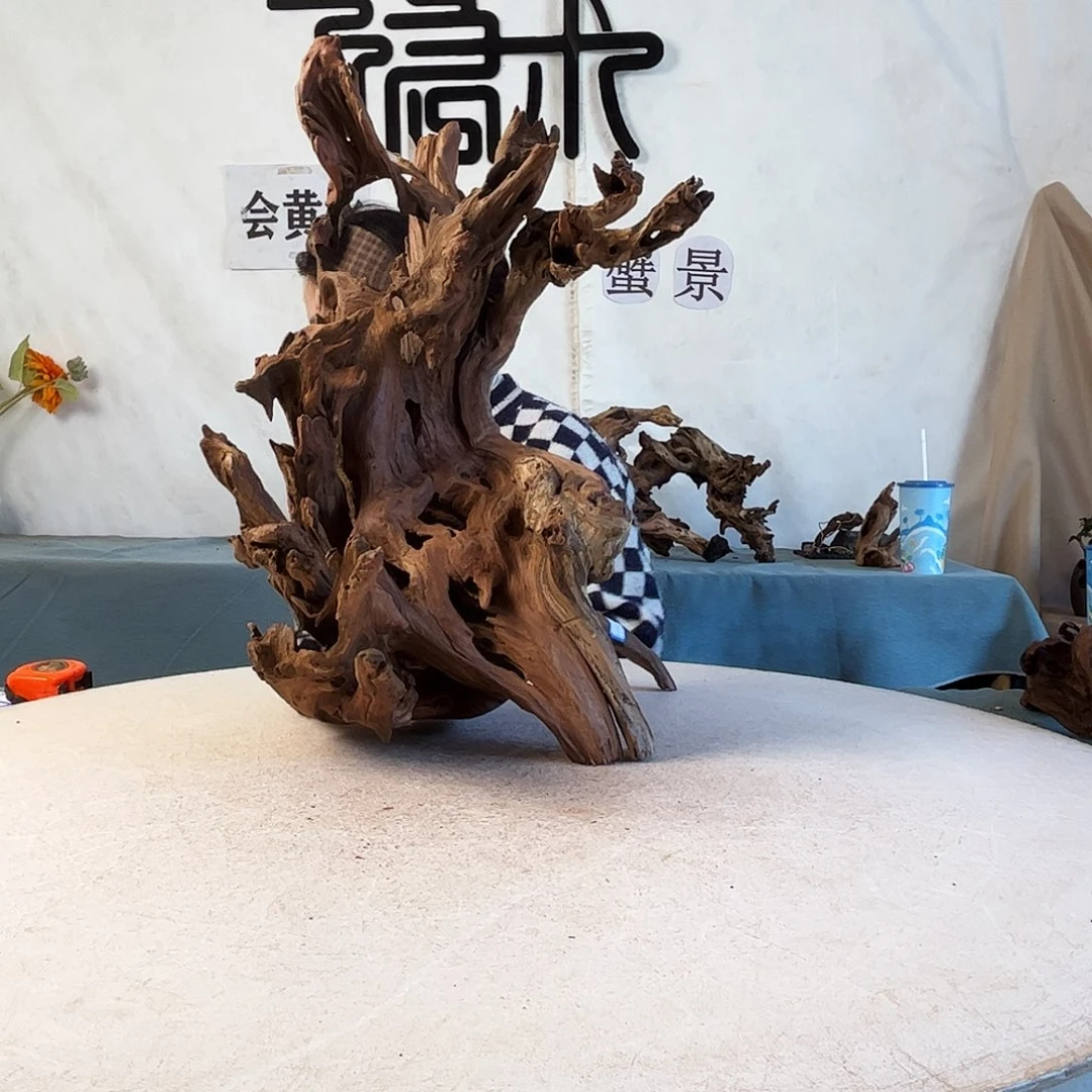 周末福利沉木造景