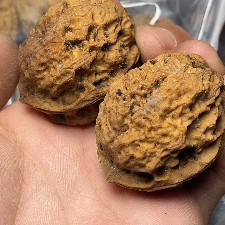 文玩核桃把件云南铁核桃34
