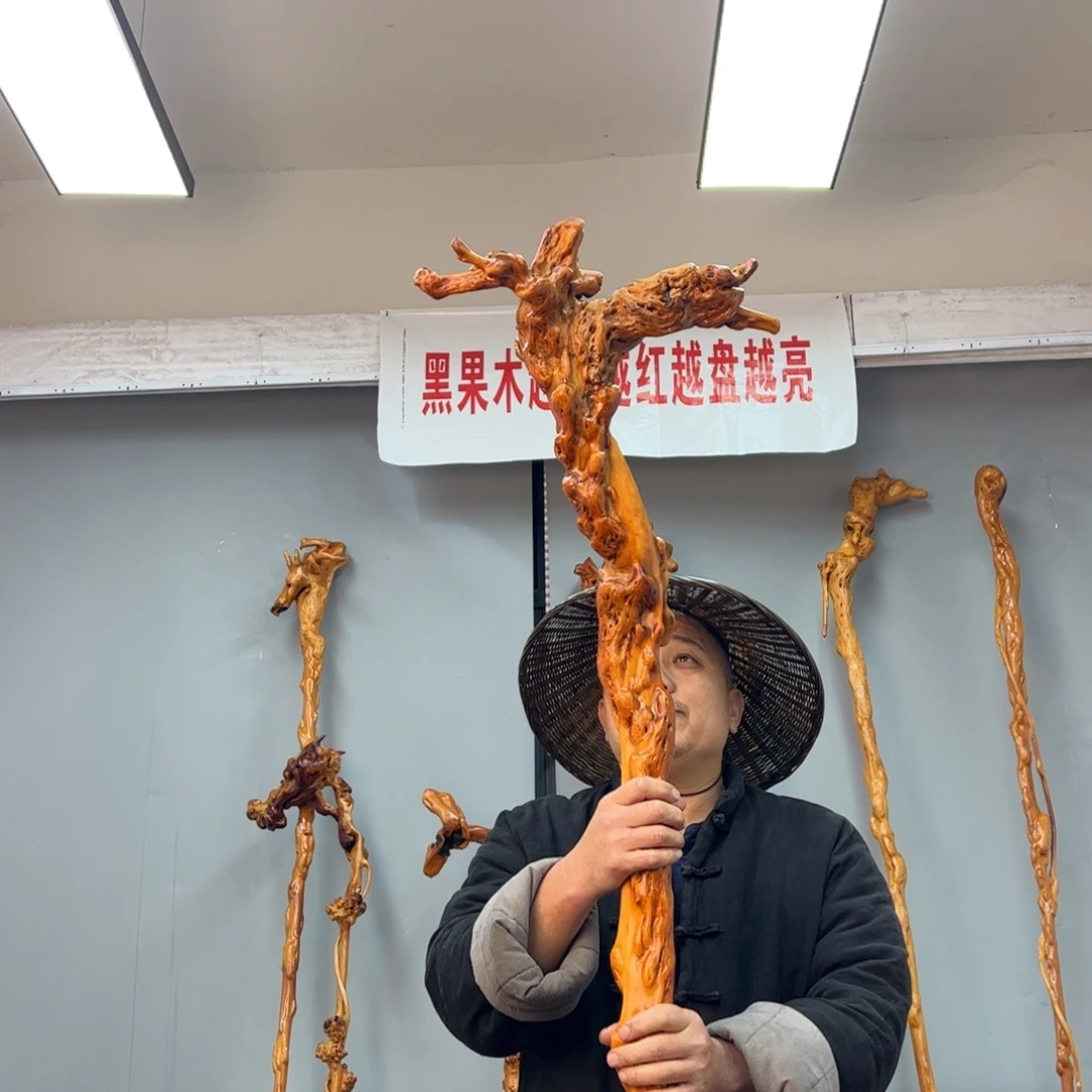 黑果木其他用****0黑果木541