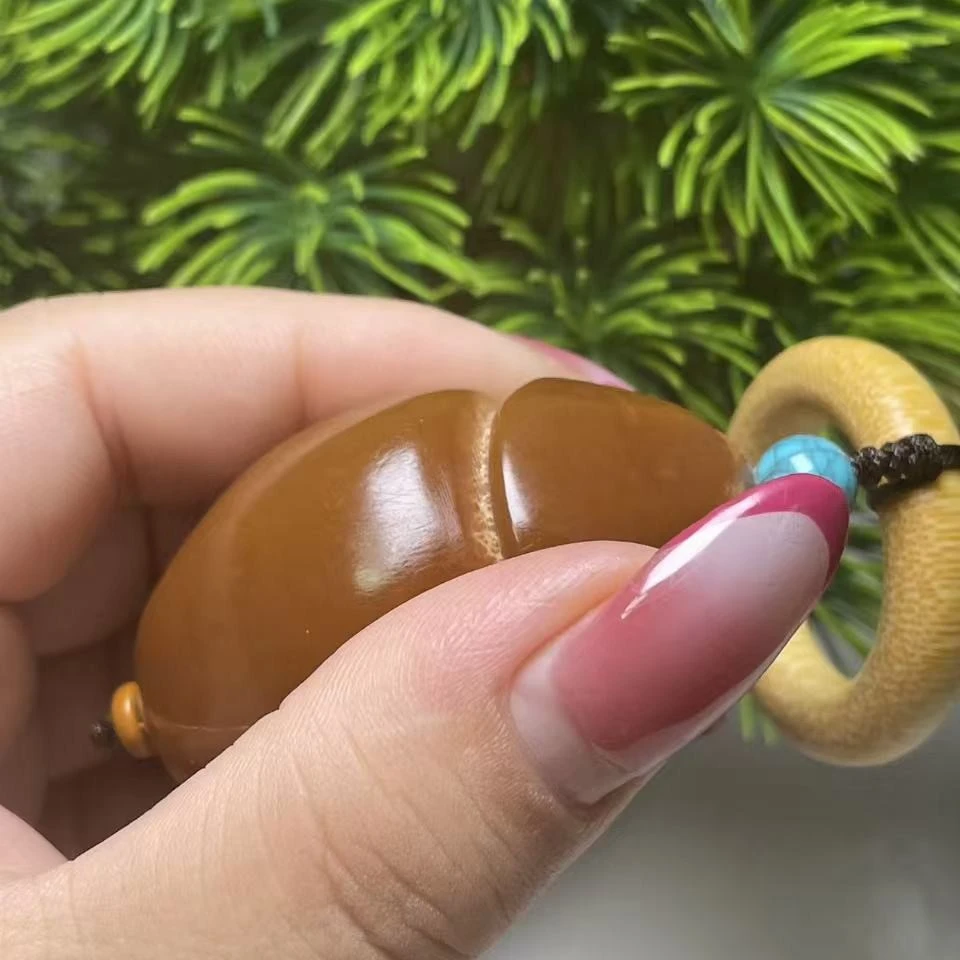 巴西大橄榄阴阳一体生命之源