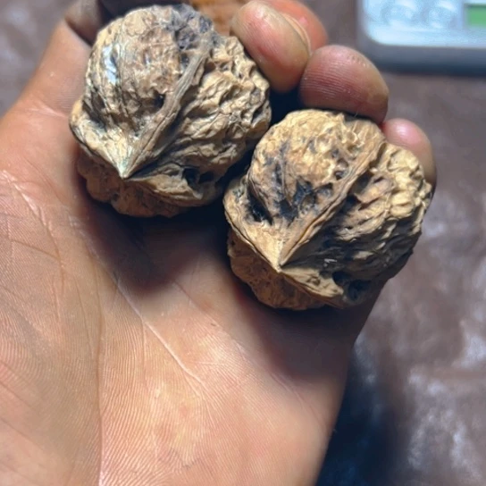 把件文玩核桃卡38尖嘴异兽20号