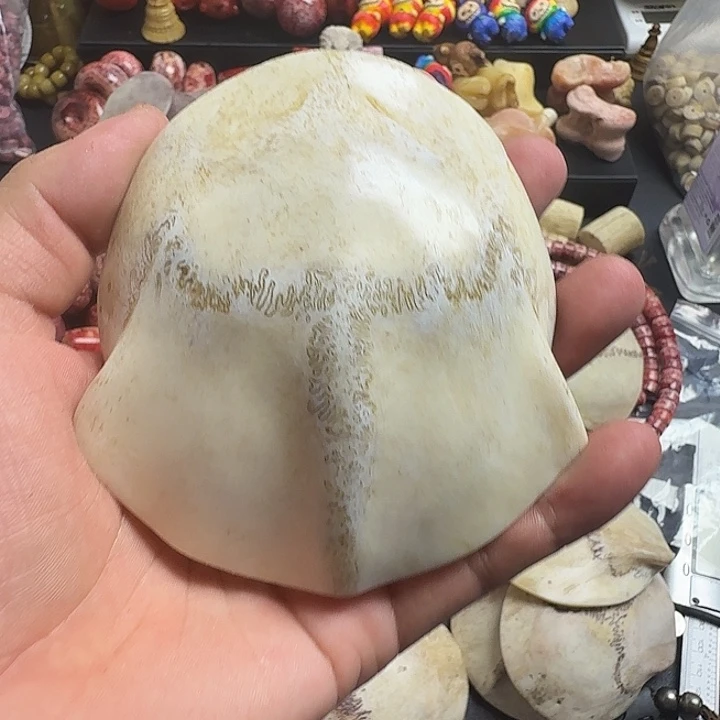 山***王花岗石铁合金养殖鹿头骨制作三界牌