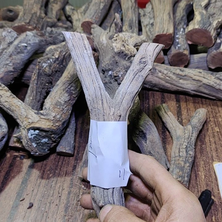 ****途火琉璃原杈不保沉水慎拍！