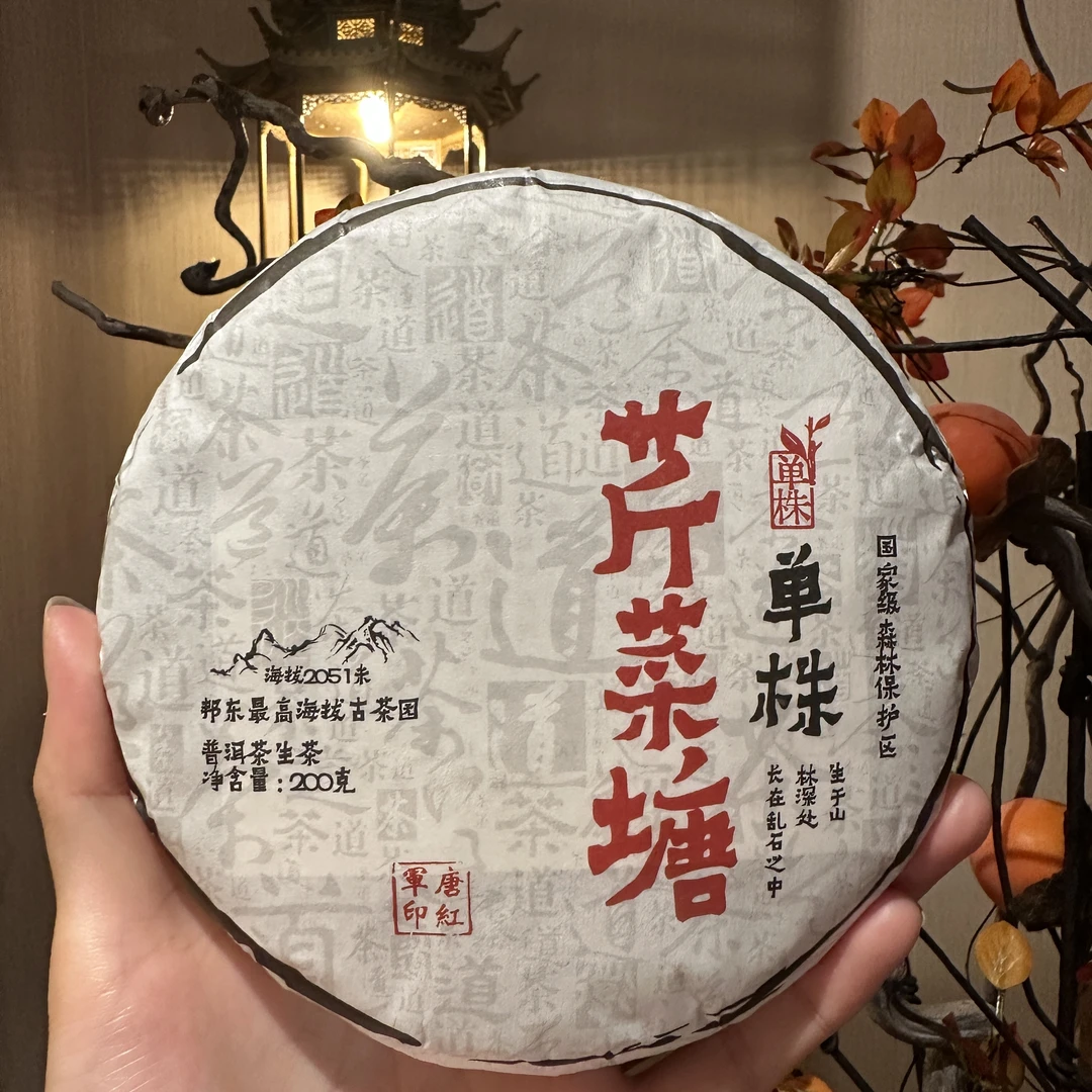 【言老师专属】2020年 芹菜塘 普洱生茶200g