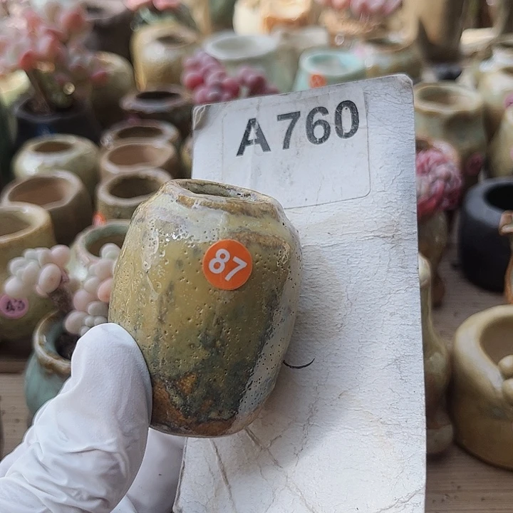 杉*760密密麻麻买买买