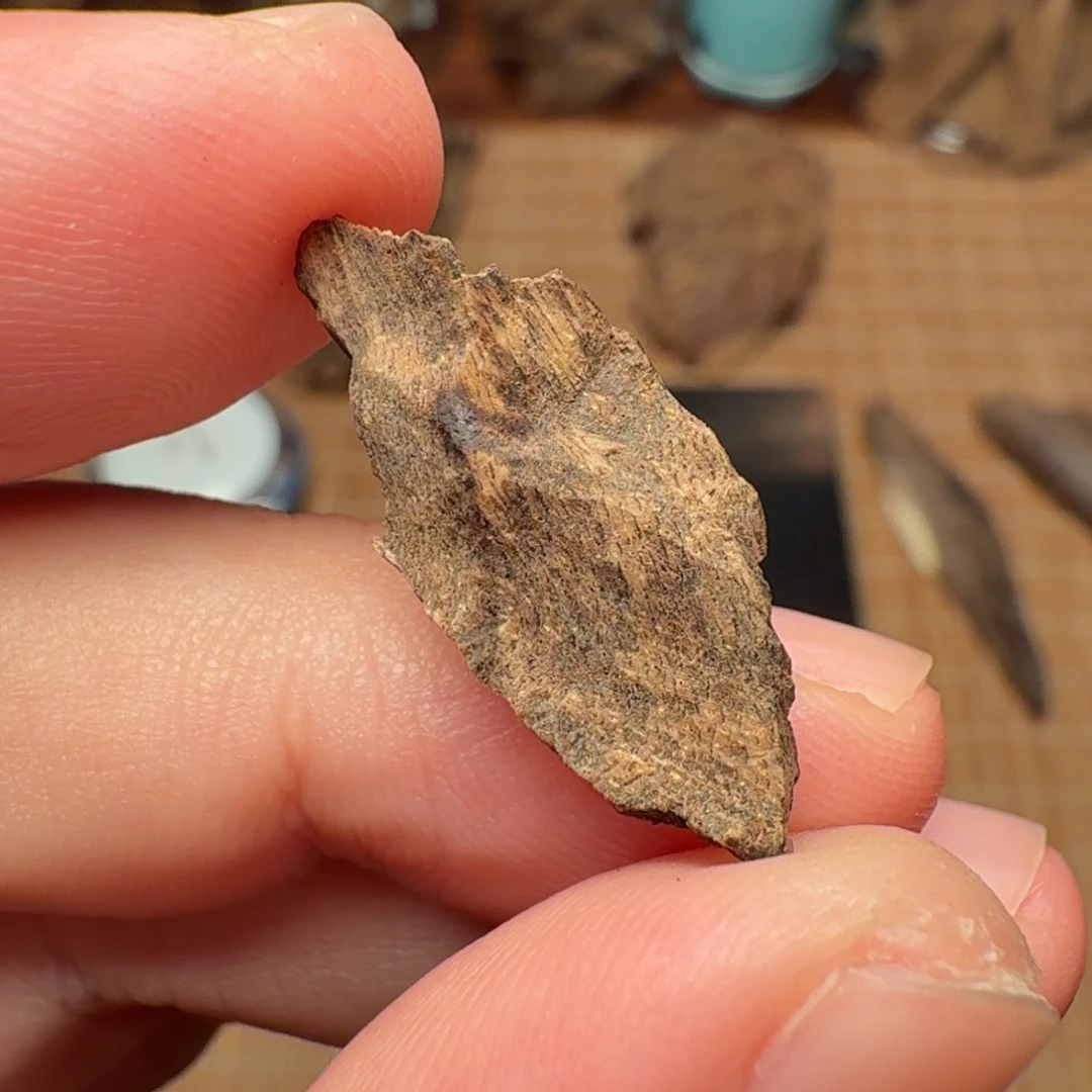 沉香沉水缅甸密支那