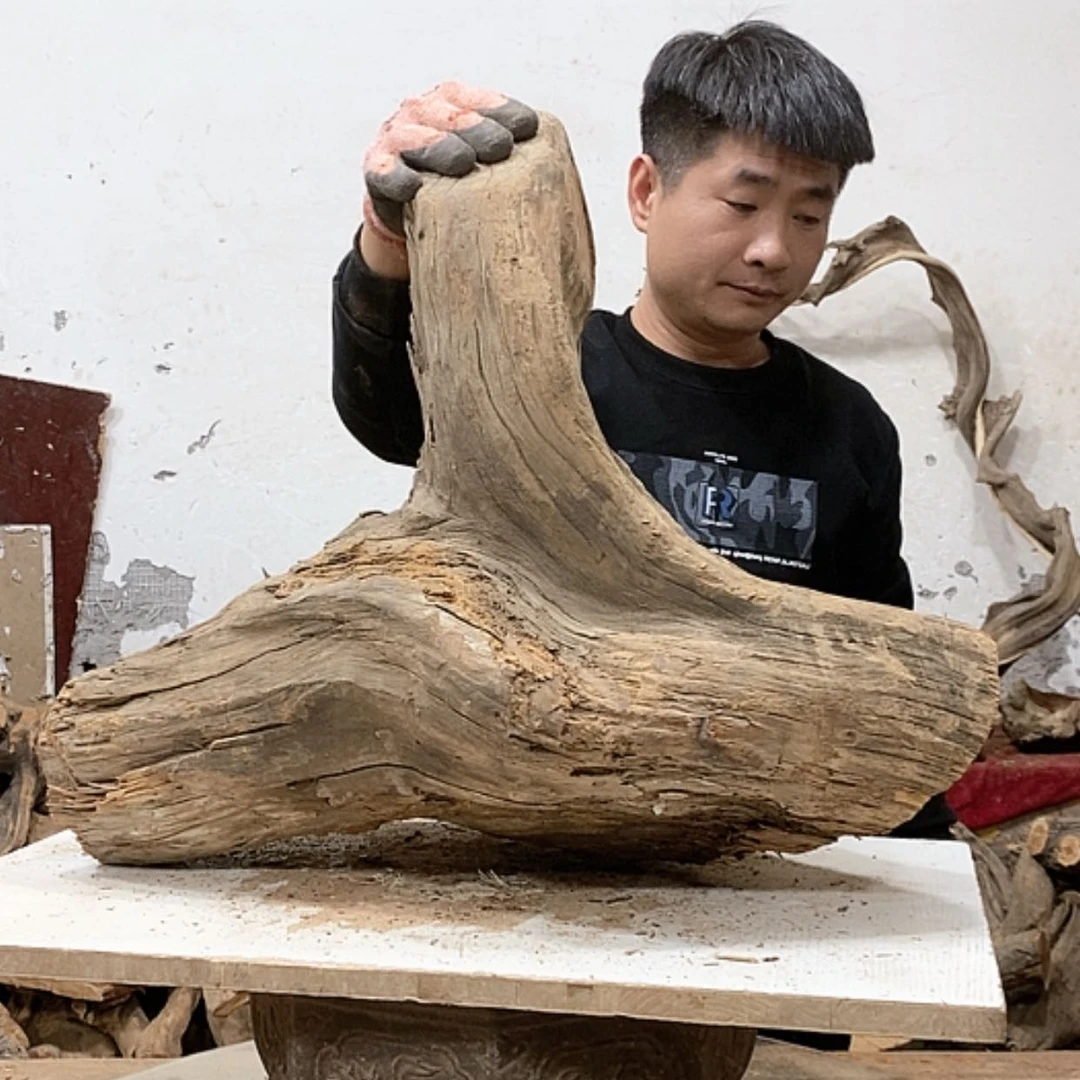 【闪购商品】柏木锦*阁我们都是好孩子