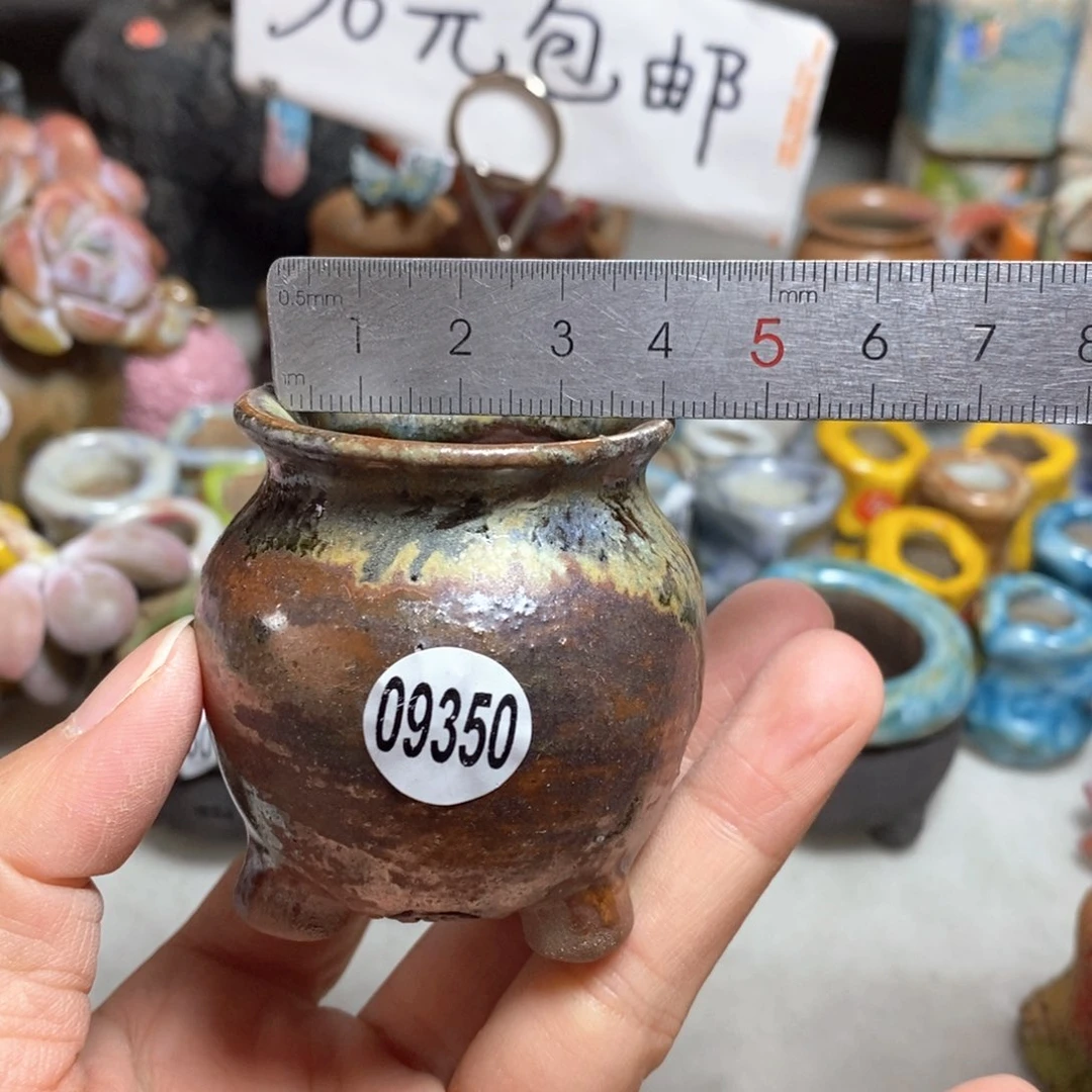 拍5送一个小礼物