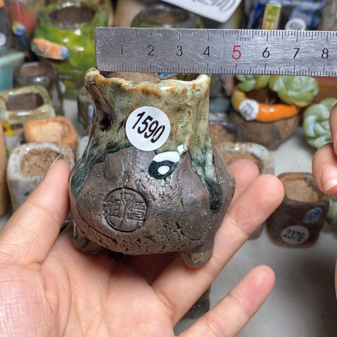 拍5送一个小礼物