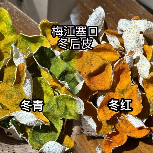 2025 冬后皮 梅江塞口 驳枝