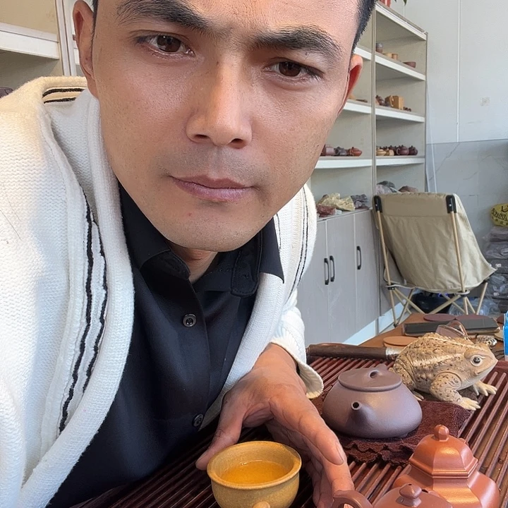 茶壶紫砂111111112