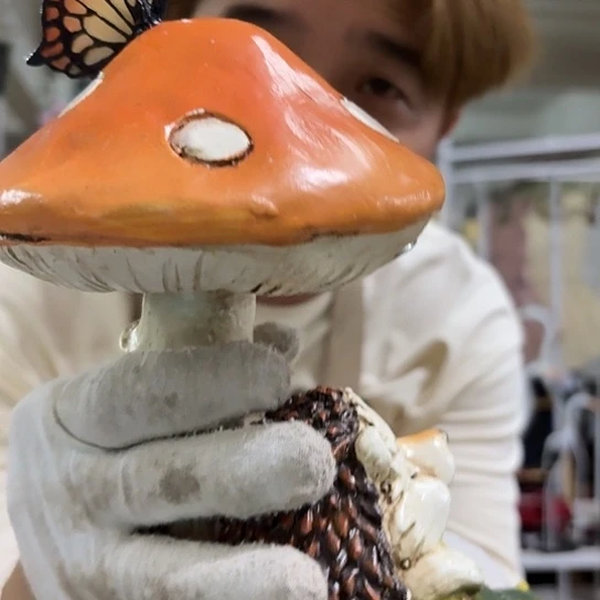 核桃木/黑胡桃（胡桃木）