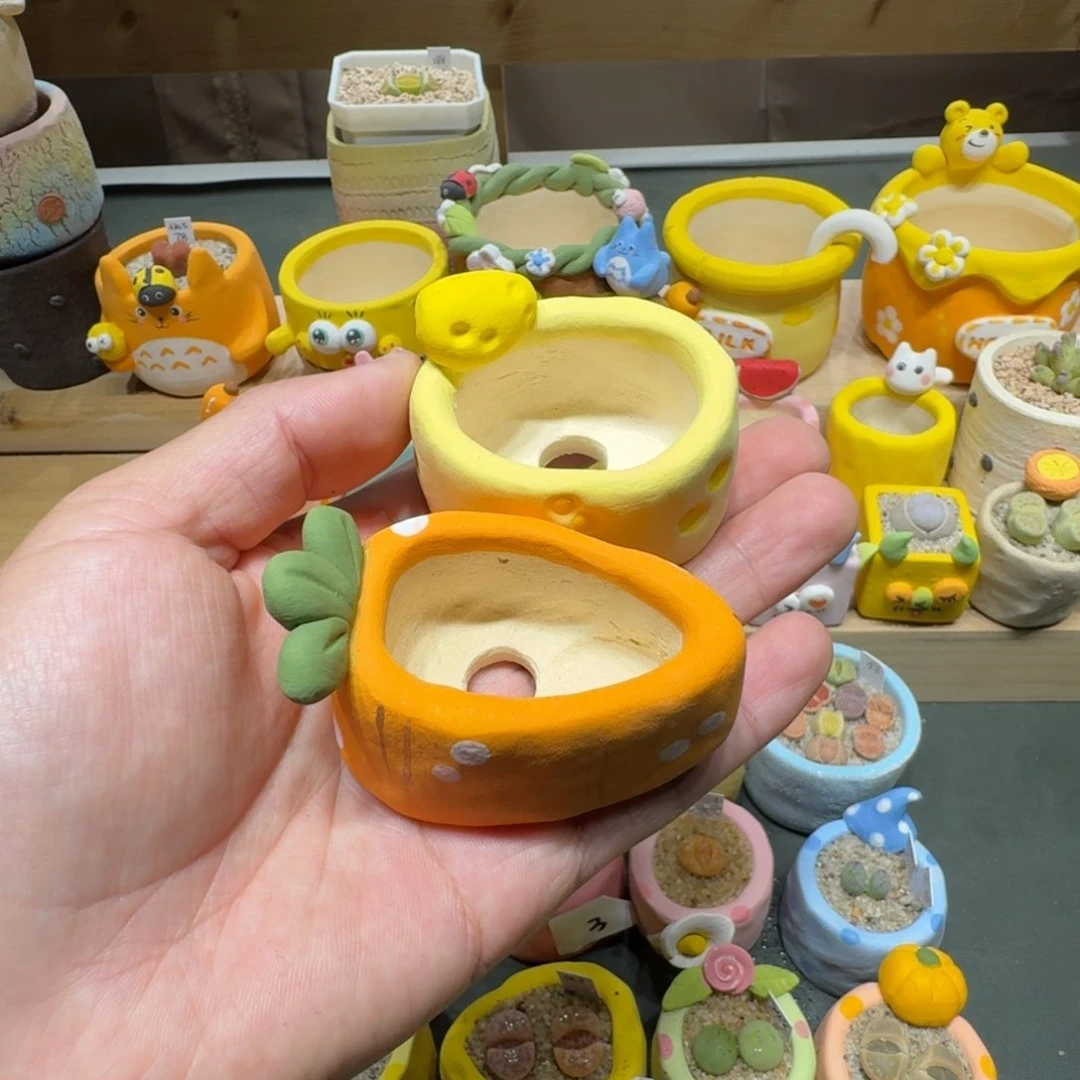 红陶杀****者蘑菇595花盆