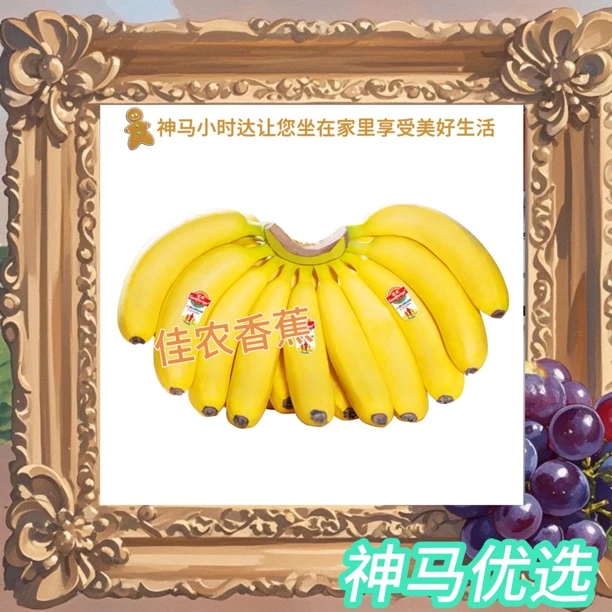 佳农香蕉一根（195克左右)吃香蕉还得是佳农的好