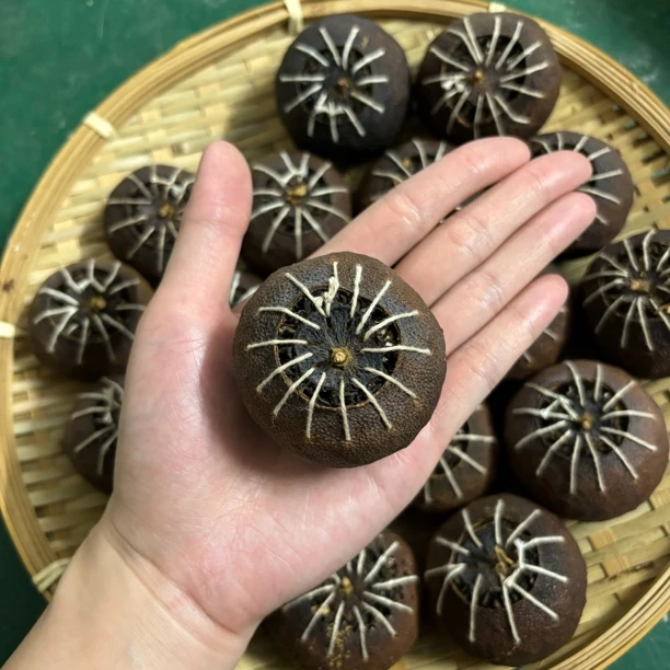 2014年 纯手工 半生晒 大红柑普茶