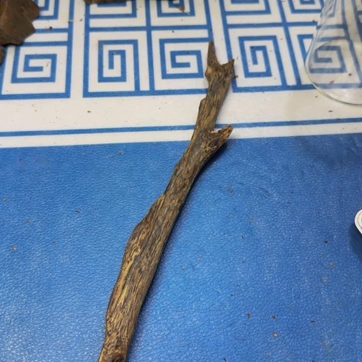 木母树虎斑紫奇树心油226克