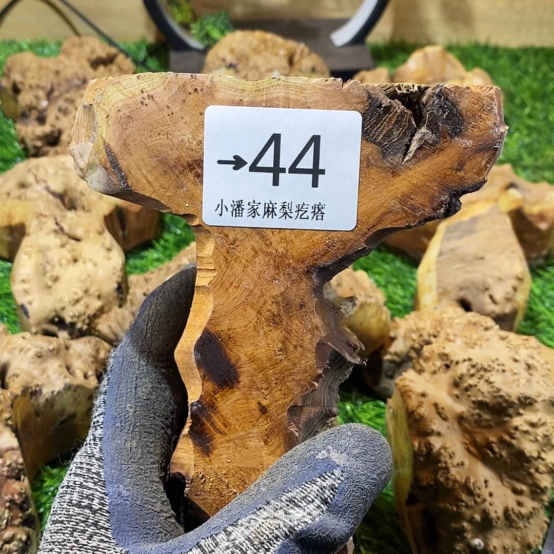 木佳*麻梨……麻梨