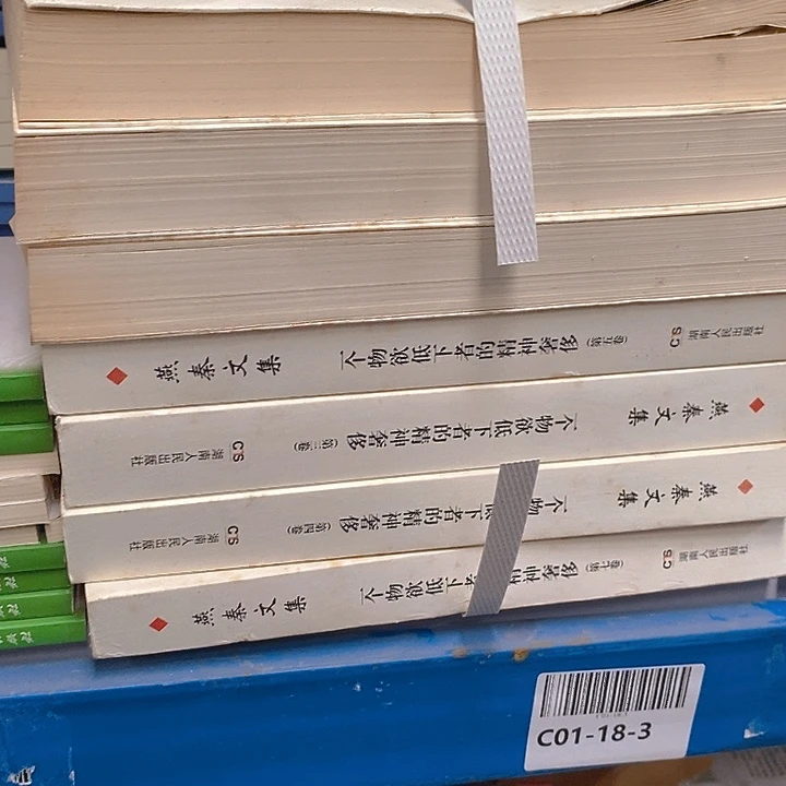 瑕疵路口   一个什么低的共7册