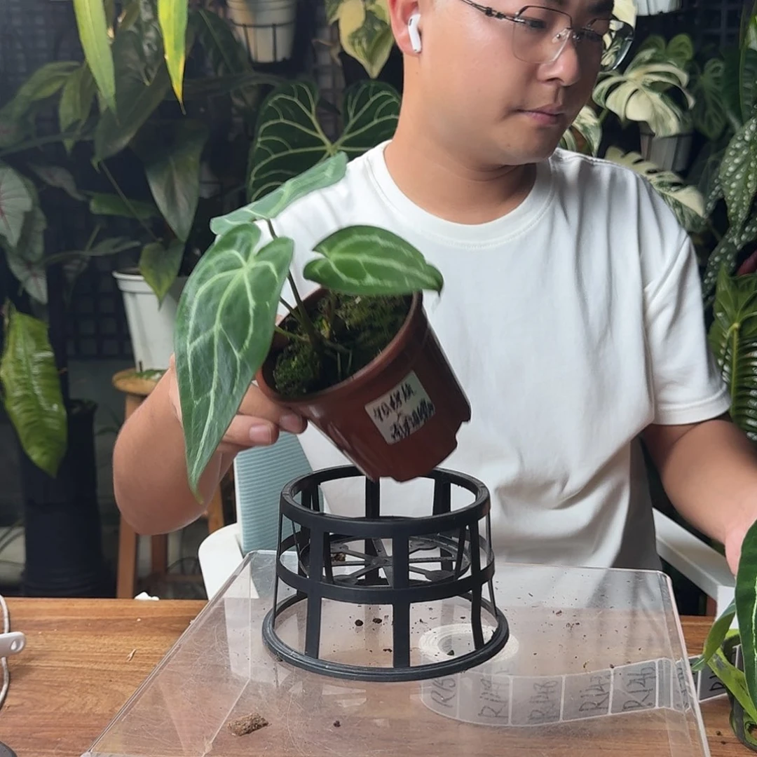 @***月无花朵一物一拍R140