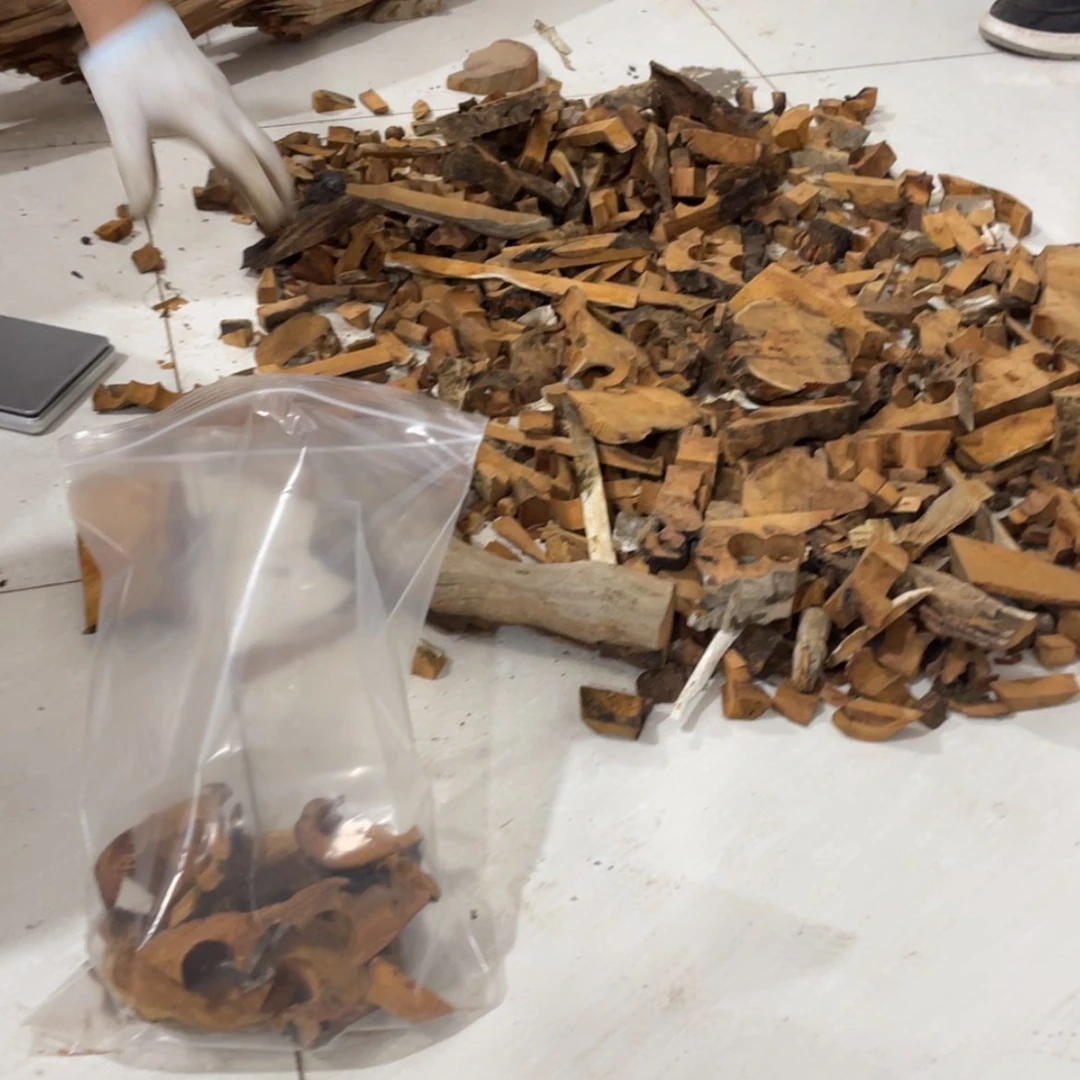 【闪购商品】柏木（崖柏）太行崖柏，到手半斤6666666