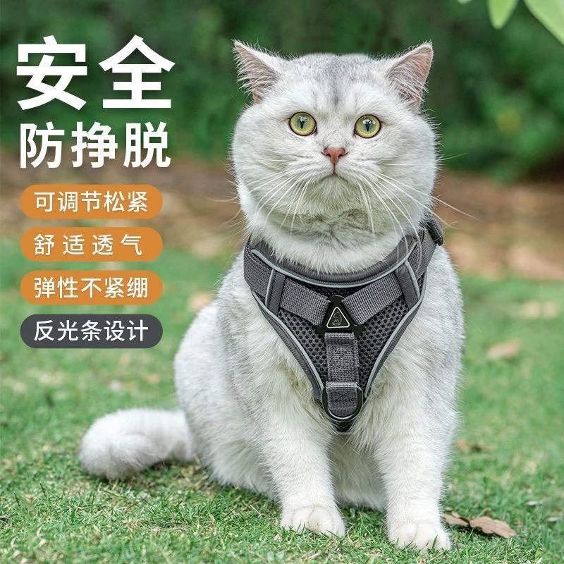 猫咪牵引绳背心式背带外出猫咪专用防挣脱溜猫绳银渐层链子用品gh