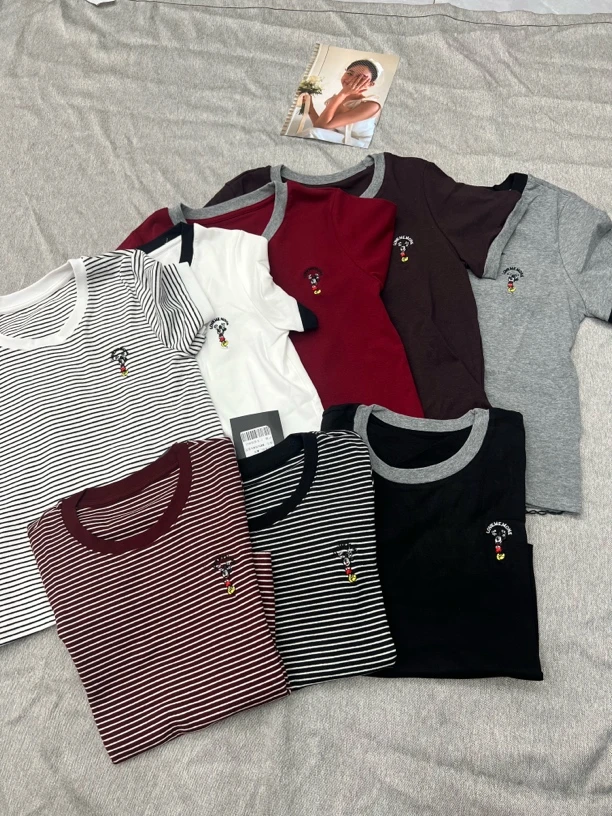 新款韩版圆领刺绣细条纹短袖T恤女夏清爽通勤气质减龄百搭