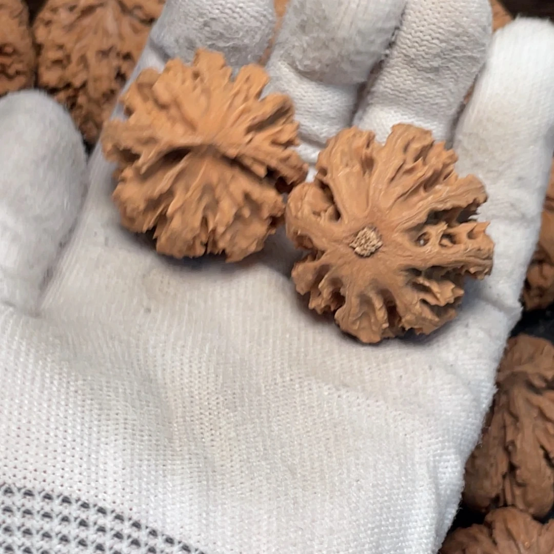 把件桃核6 秦岭灯笼野生小众