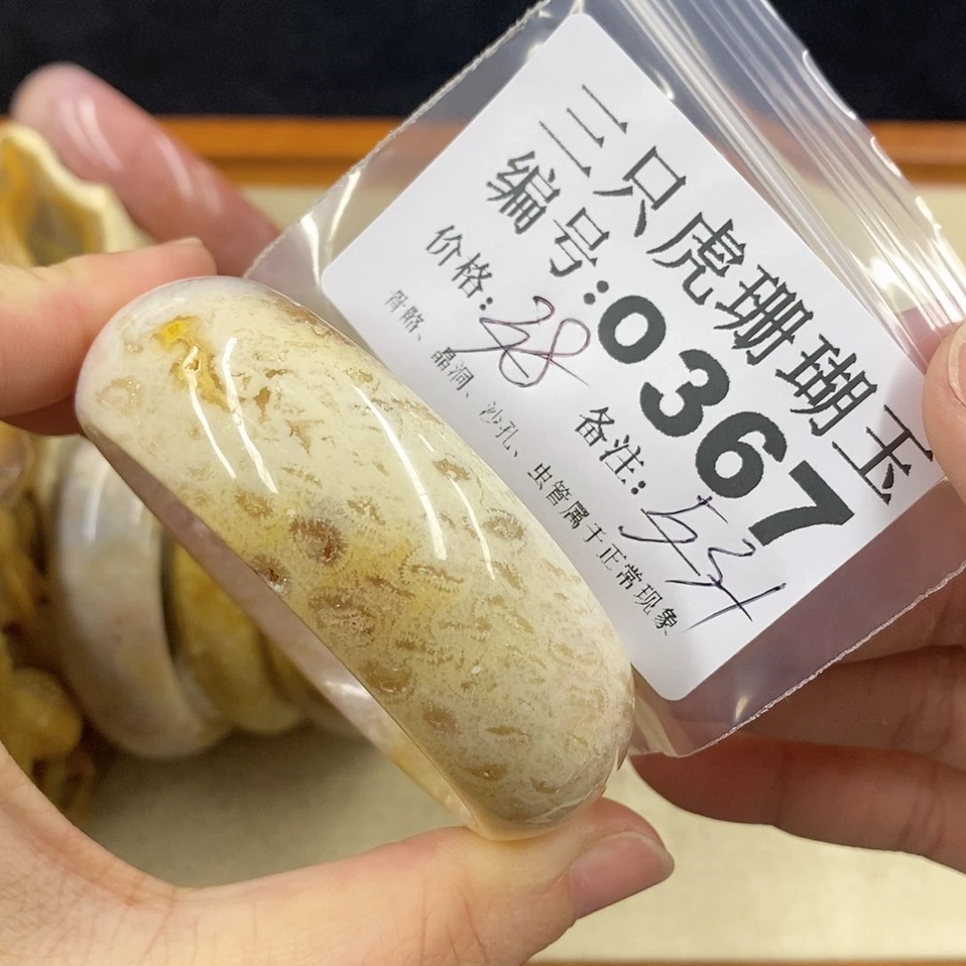 硅化珊瑚（珊瑚玉）1未镶嵌茶*子