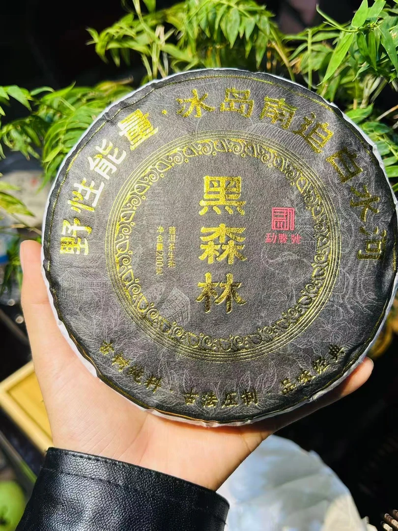 2021年头春【冰岛南迫白水河黑森林古树】普洱茶200g饼茶