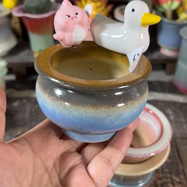 口6 未满30运费到付