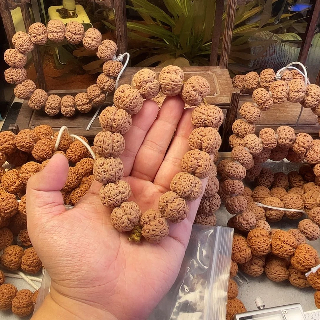 軍***長手串金刚菩提4。
