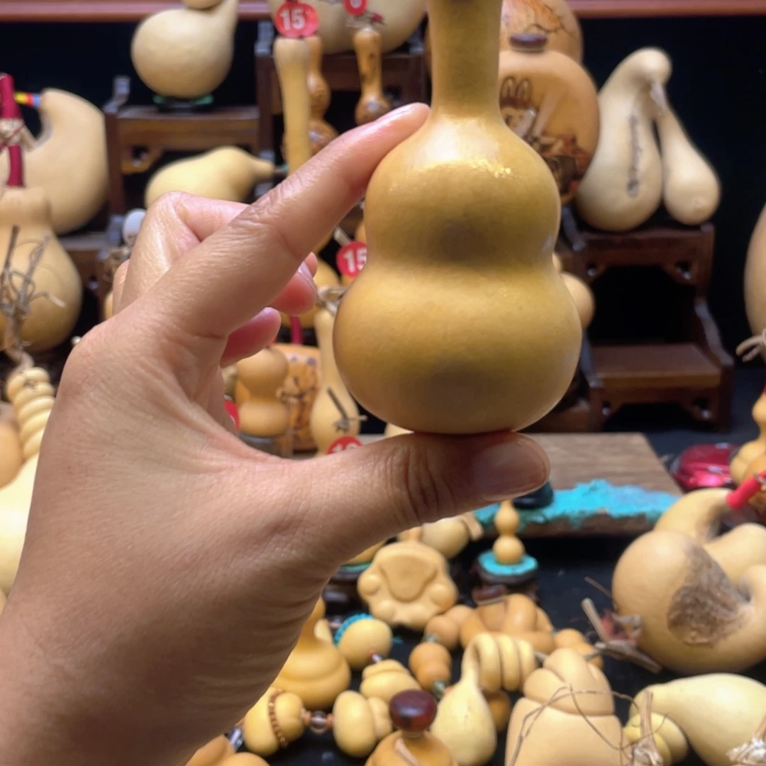 C*J大自然的秘密第十一节课