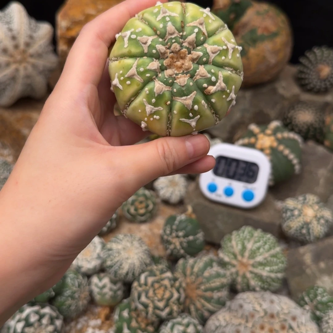 杨***玥兜哈哈哈哈哈哈哈