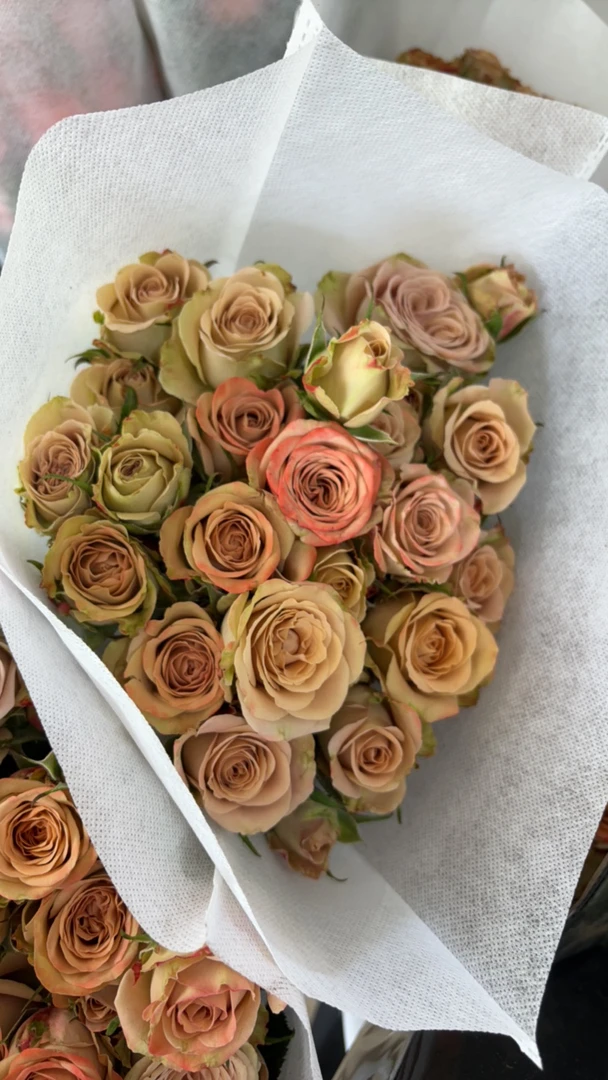 【卡布奇诺】多头玫瑰花束云南基地直发复古色家用水养鲜花送保鲜剂