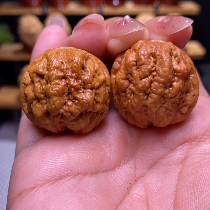 木质类云铁血舍利10号32尺