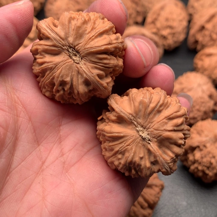 文玩核桃吊坠核*精狮子头