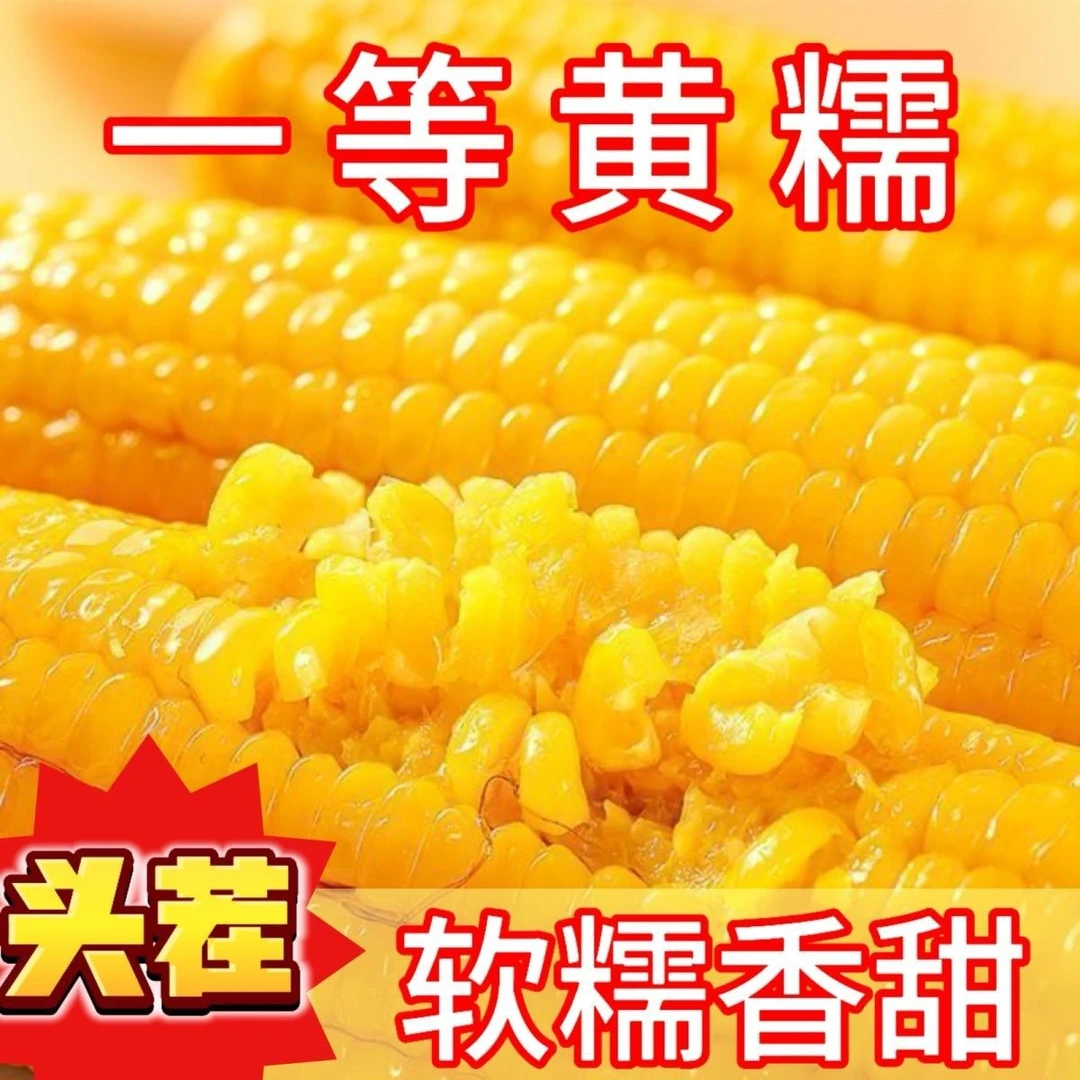 香糯黄玉米即食真空新鲜黏糯可作早餐代餐