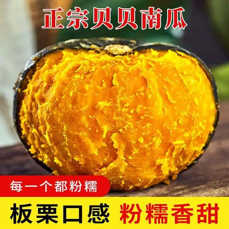 正宗板栗味贝贝南瓜粉糯香甜宝宝辅食代餐粗粮