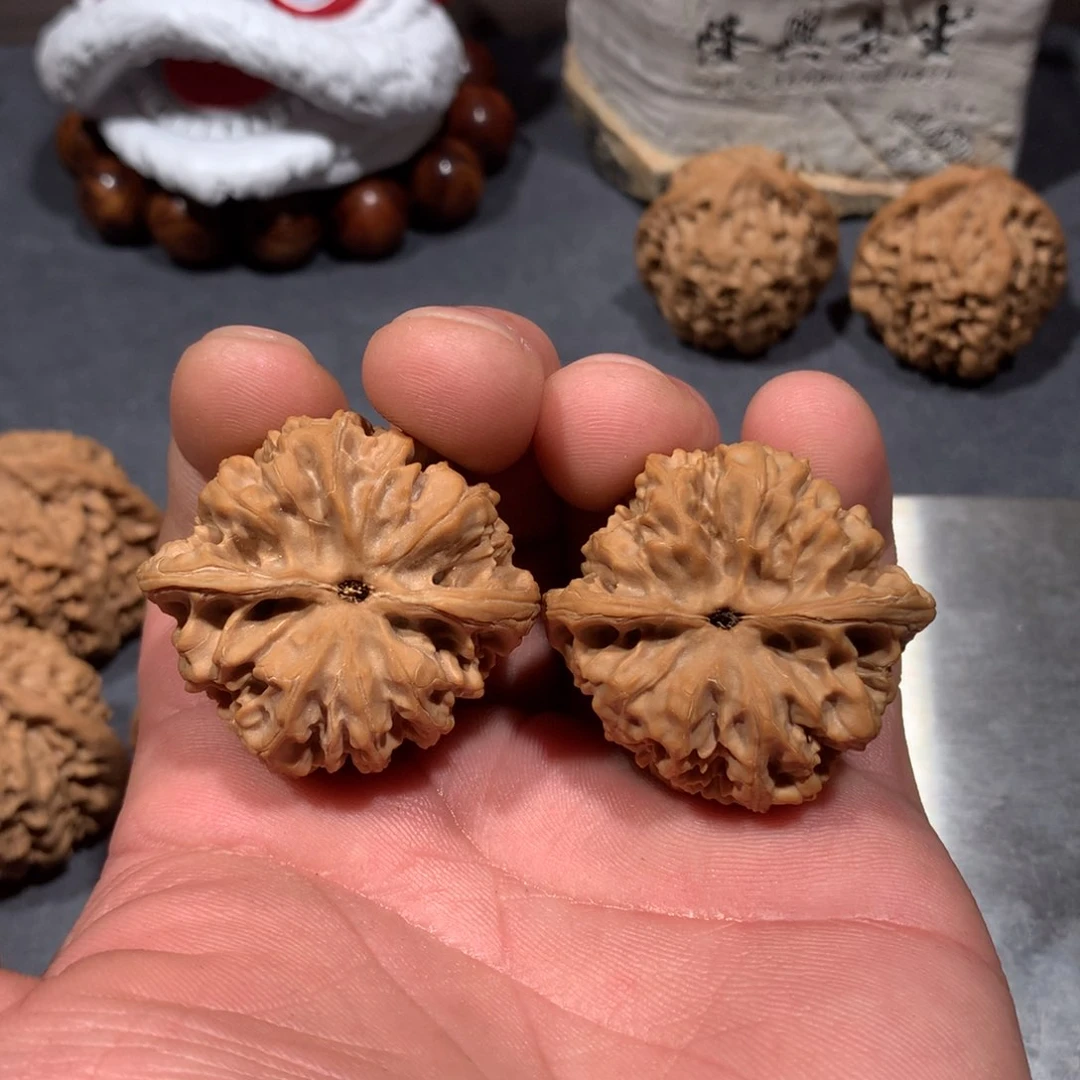 A*D野牛易县窝底狮子头39尺