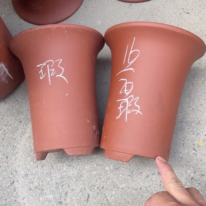 周深周深周深周深周深