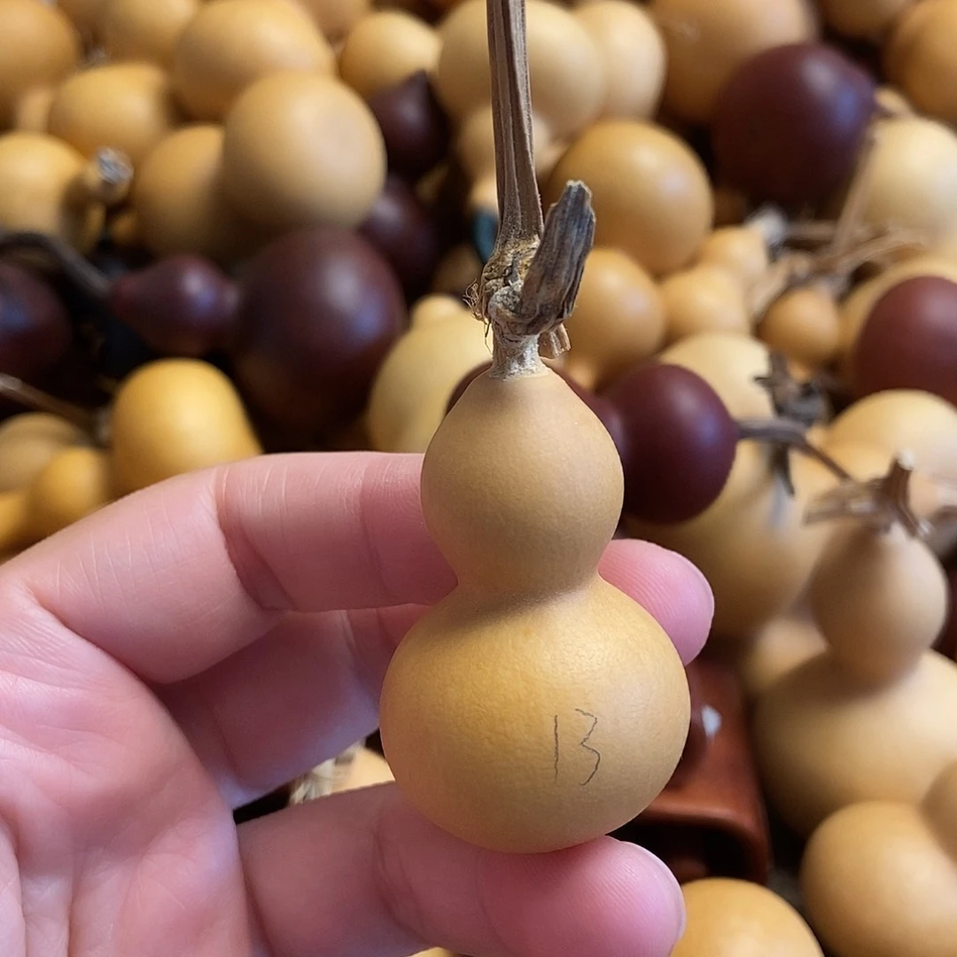 文玩葫芦 完美主义者 慎拍13