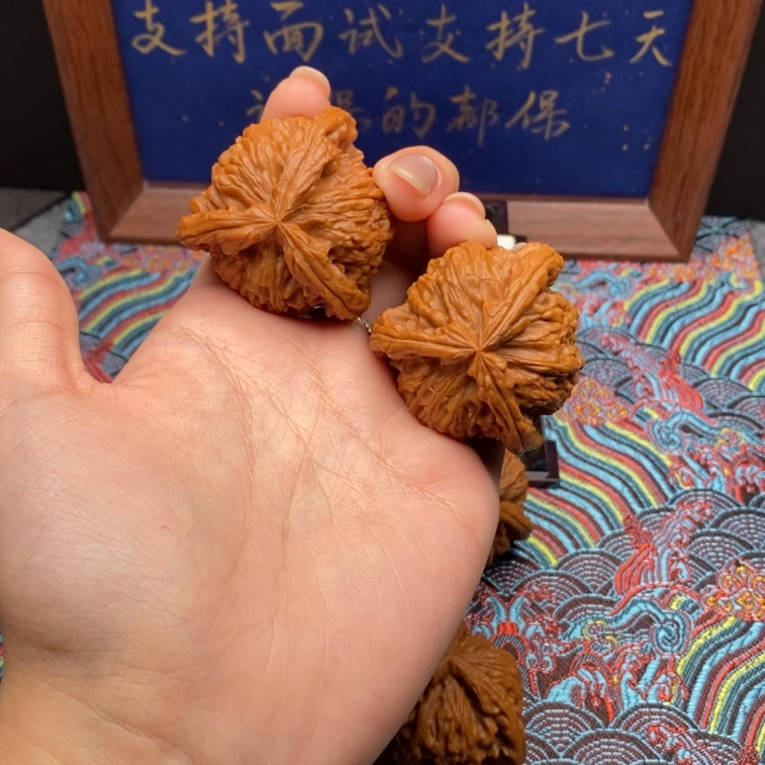 【闪购商品】潍****司白狮