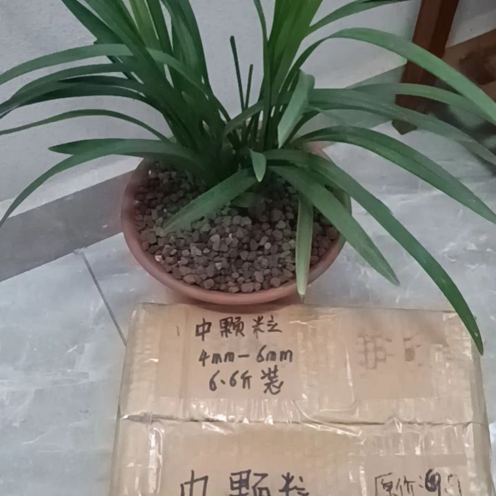 ****管兰菌颗粒中颗粒6.6斤